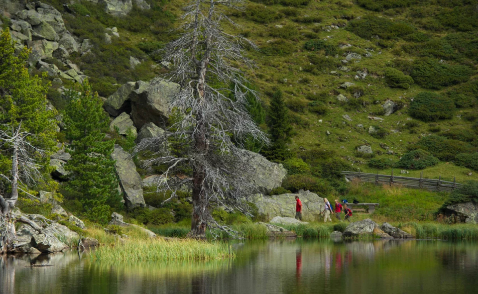 Eine ruhige Berglandschaft mit einem stillen See, in dem sich grüne Hügel und ein kahlen Baum spiegeln. Drei Wanderer in bunten Kleidern spazieren am Ufer entlang. Friedliche Atmosphäre.