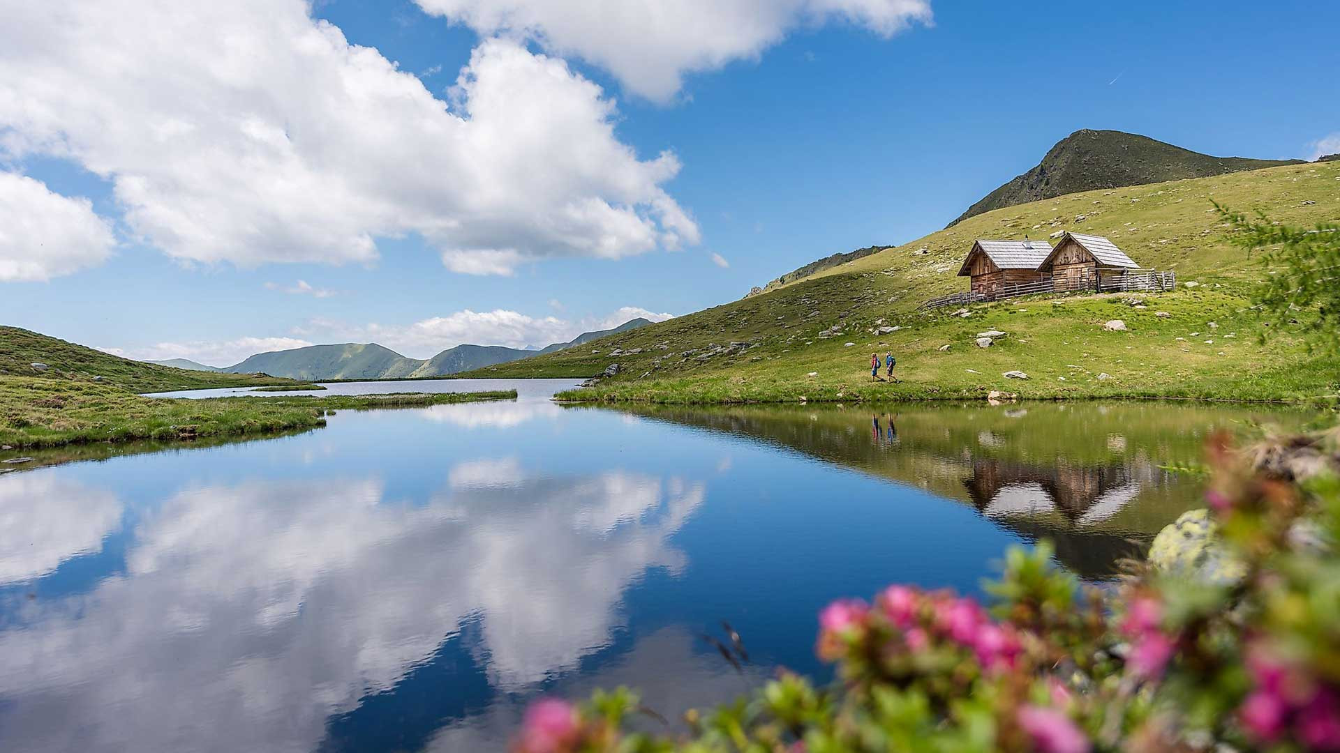 A tranquil mountain landscape with a clear lake reflecting clouds. A rustic cabin sits on a grassy hill with vibrant pink flowers in the foreground.